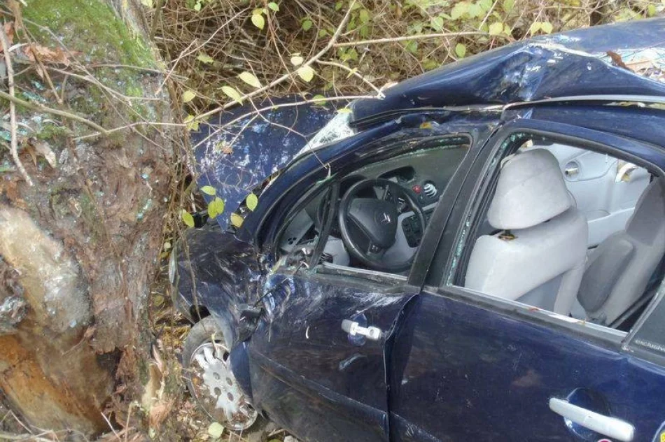 W Łazach Biegonickich samochód wypadł z drogi - zdjęcie 2