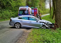 Chciał uniknąć potrącenia psa, rozbił samochód na przydrożnym drzewie - zdjęcie główne