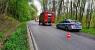 Chciał uniknąć potrącenia psa, rozbił samochód na przydrożnym drzewie - zdjęcie 2