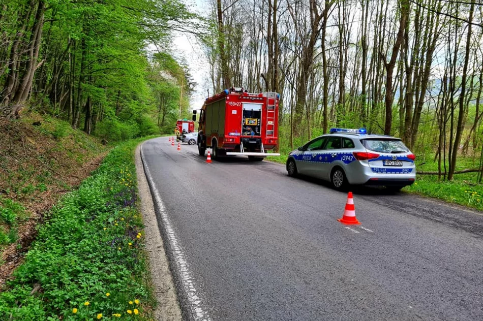 Chciał uniknąć potrącenia psa, rozbił samochód na przydrożnym drzewie - zdjęcie 2