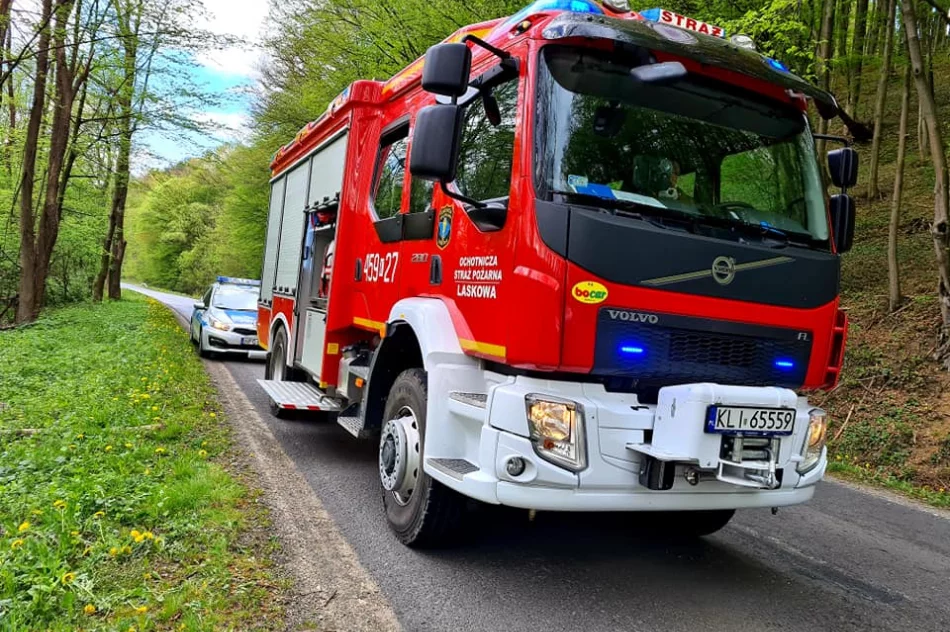 Chciał uniknąć potrącenia psa, rozbił samochód na przydrożnym drzewie - zdjęcie 3