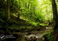 Komunikat turystyczny GPN na majowy weekend - zdjęcie główne