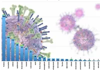 Informacja MPWIS: w powiecie limanowskim 7 nowych zakażeń - największy przyrost w województwie - zdjęcie główne