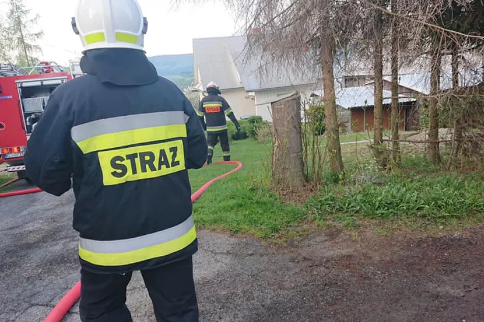 Doszczętnie spłonął samochód - zdjęcie 2