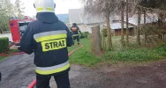Doszczętnie spłonął samochód - zdjęcie 2