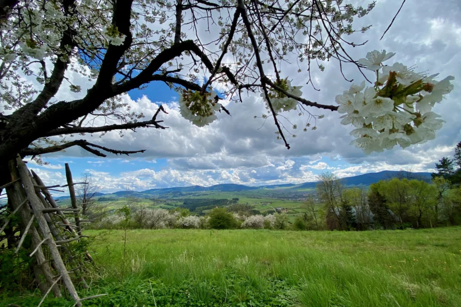Wieża widokowa na Mogielicy została zamknięta. Dużo turystów na szlakach - zdjęcie 6