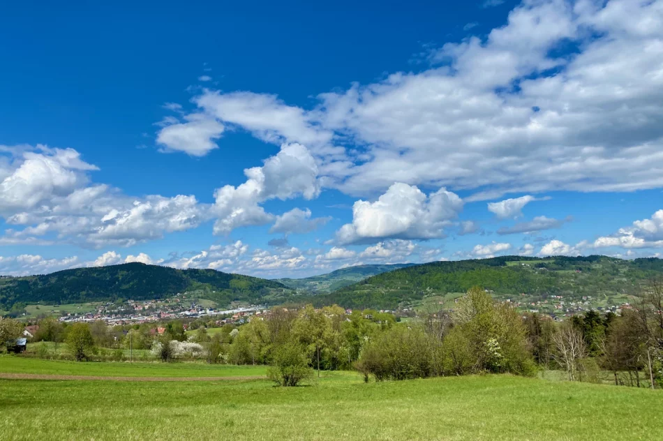 Wieża widokowa na Mogielicy została zamknięta. Dużo turystów na szlakach - zdjęcie 9