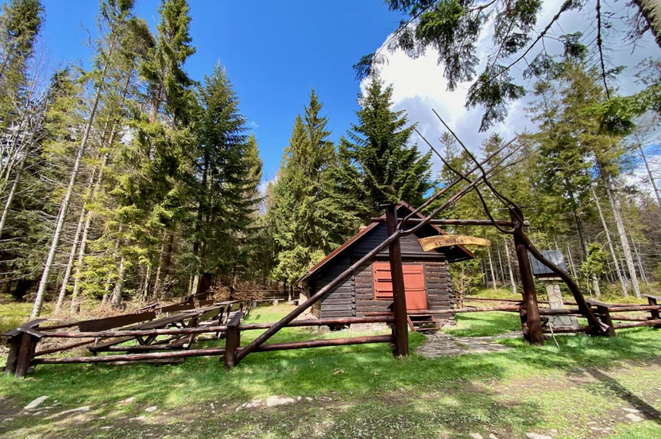 Wieża widokowa na Mogielicy została zamknięta. Dużo turystów na szlakach - zdjęcie 12