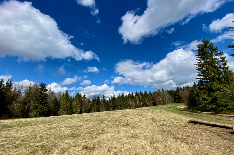 Wieża widokowa na Mogielicy została zamknięta. Dużo turystów na szlakach - zdjęcie 13