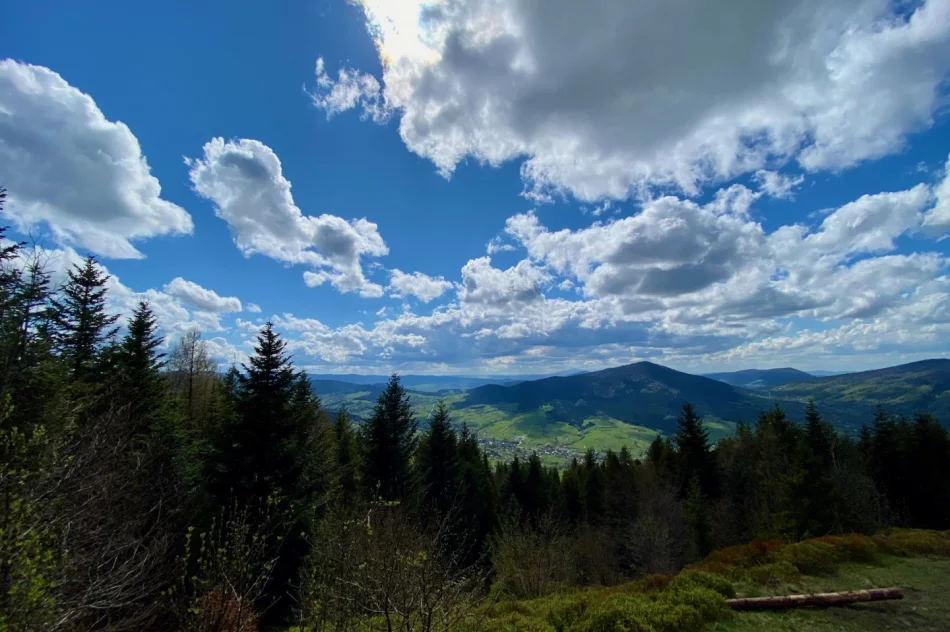 Wieża widokowa na Mogielicy została zamknięta. Dużo turystów na szlakach - zdjęcie 14