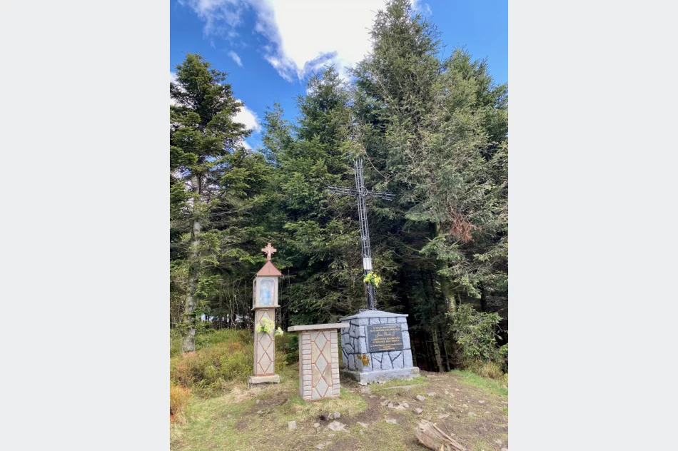 Wieża widokowa na Mogielicy została zamknięta. Dużo turystów na szlakach - zdjęcie 15