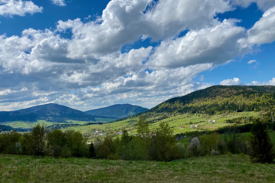 Wieża widokowa na Mogielicy została zamknięta. Dużo turystów na szlakach - zdjęcie 19