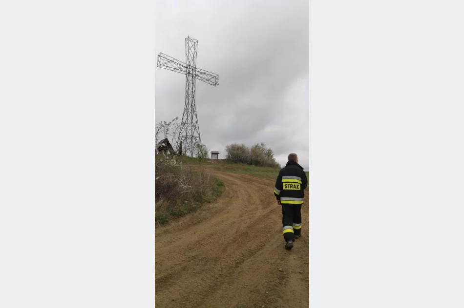 Poszukiwania zaginionej 61-latki. Kobietę odnaleziono po 2 godzinach - zdjęcie 2
