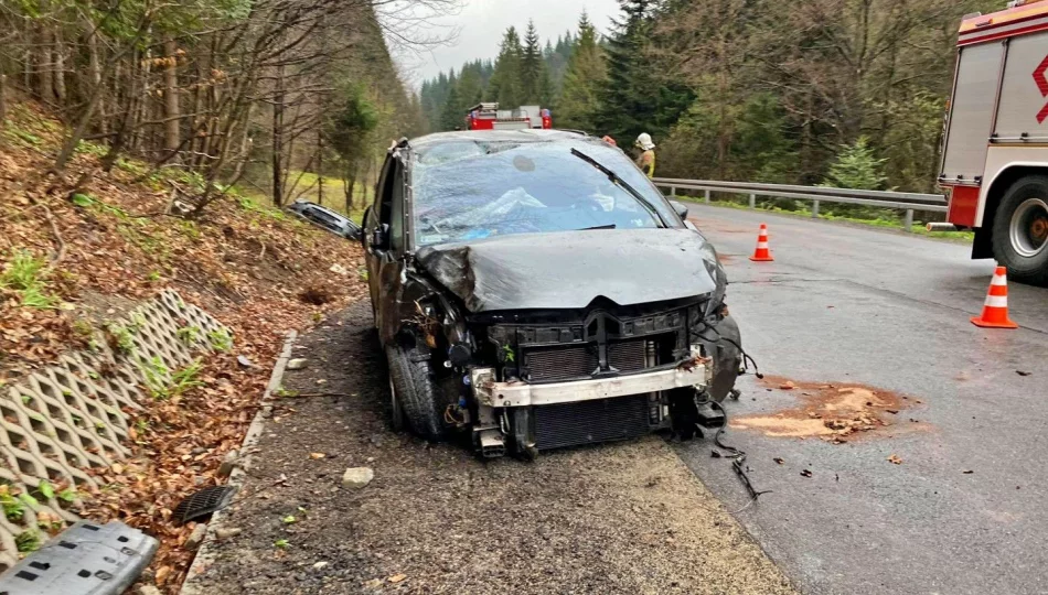 Kierowca prawdopodobnie zasnął za kierownicą - zdjęcie 1