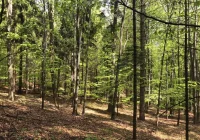 Z kroniki Grupy Podhalańskiej GOPR - zdjęcie główne