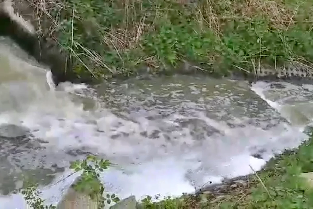 Niekontrolowane zrzuty ścieków z gminnej oczyszczalni znów zanieczyściły rzekę