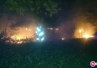 Pożary traw i lasów - przyczyną podpalenia - zdjęcie główne