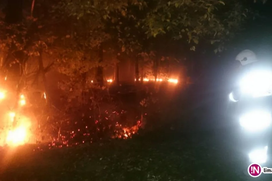 Pożary traw i lasów - przyczyną podpalenia - zdjęcie 2