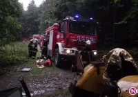 Płonął las - strażacy ćwiczyli pod Łopieniem - zdjęcie główne