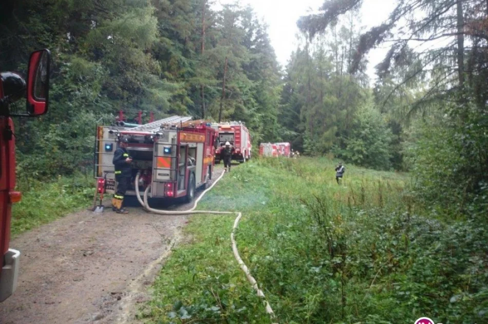 Płonął las - strażacy ćwiczyli pod Łopieniem - zdjęcie 3