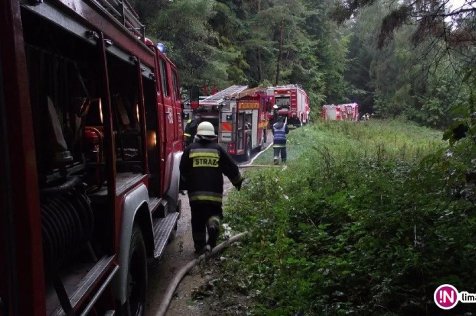 Płonął las - strażacy ćwiczyli pod Łopieniem - zdjęcie 4