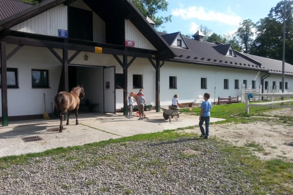 Dzieci aktywne w siodle - zdjęcie 2