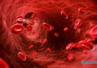 Brakuje krwi! RCKiK w Limanowej apeluje - zdjęcie główne