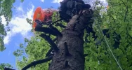 Cztery poważne akcje GOPR. Paralotniarz zawisł na drzewie, na pomoc LPR  - zdjęcie 2