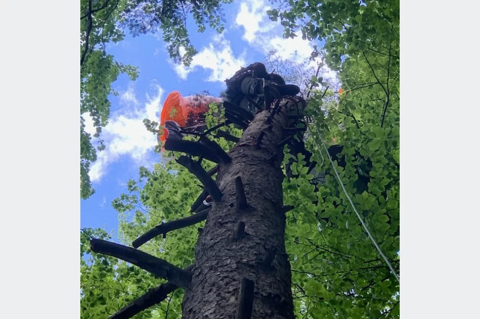 Cztery poważne akcje GOPR. Paralotniarz zawisł na drzewie, na pomoc LPR  - zdjęcie 2