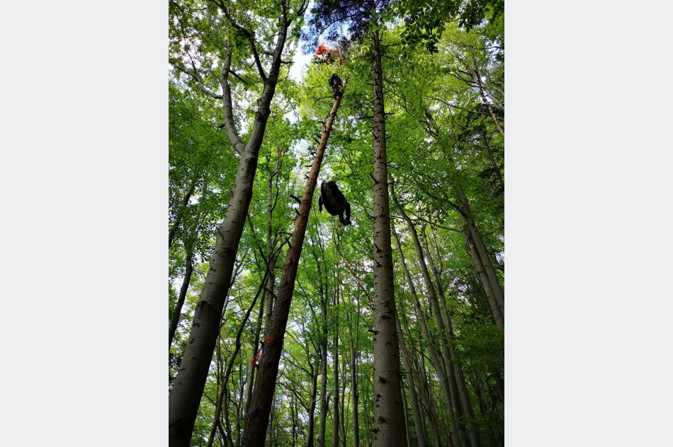 Cztery poważne akcje GOPR. Paralotniarz zawisł na drzewie, na pomoc LPR  - zdjęcie 8