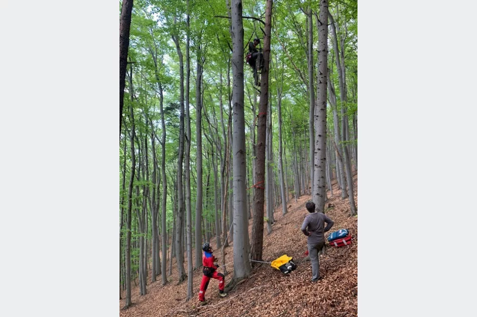 Cztery poważne akcje GOPR. Paralotniarz zawisł na drzewie, na pomoc LPR  - zdjęcie 10