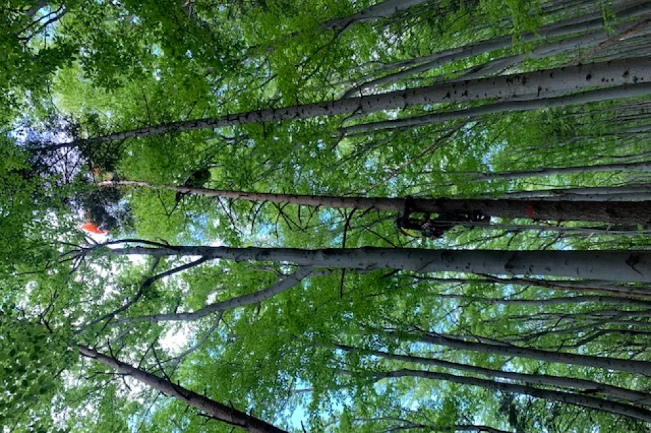 Cztery poważne akcje GOPR. Paralotniarz zawisł na drzewie, na pomoc LPR  - zdjęcie 11