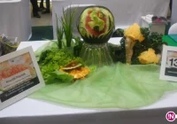 Klaudia Frączek wśród najlepszych w Polsce w carvingu - zdjęcie główne