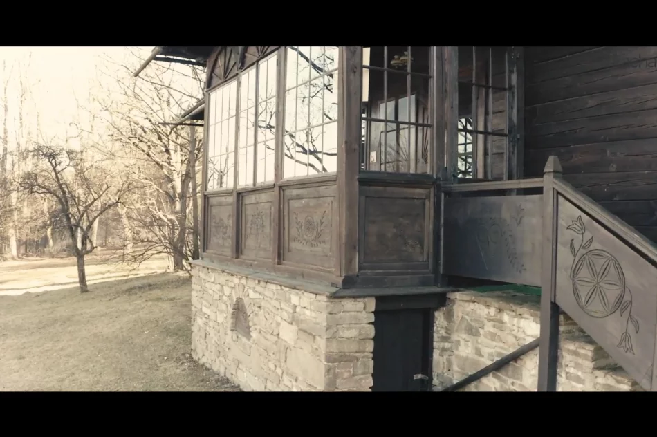 #BarkaChallenge ze znanymi artystami i lokalnymi muzykami - zdjęcie 15