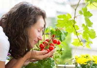 Zaburzenia smaku i węchu - już oficjalnie objawem Covid-19 w Wielkiej Brytanii - zdjęcie główne