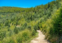 Działania gospodarcze w pobliżu szlaków turystycznych - zdjęcie główne