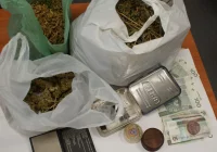 Pijany kierowca miał przy sobie marihuanę, a w domu uprawę konopi - zdjęcie główne