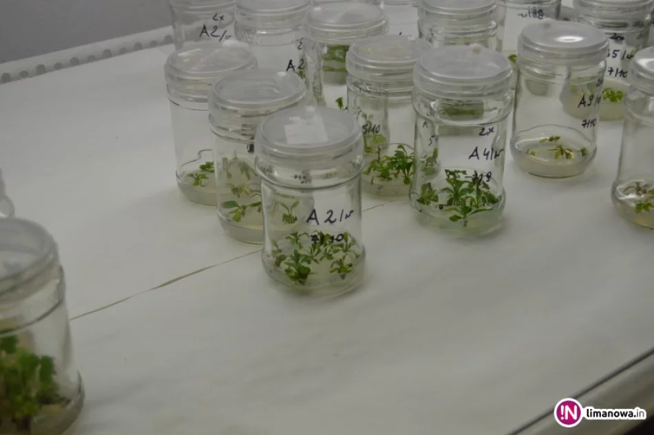 Młodzi architekci krajobrazu na Wydziale Biotechnologii - zdjęcie 3