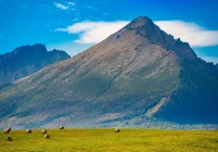 Słowacja luzuje restrykcje, ale granice pozostają zamknięte - zdjęcie główne