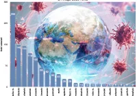Informacja MPWIS o sytuacji epidemiologicznej w Małopolsce - zdjęcie główne