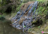 Rolnik pozbywa się pozostałości po uprawach... w rzece - zdjęcie główne