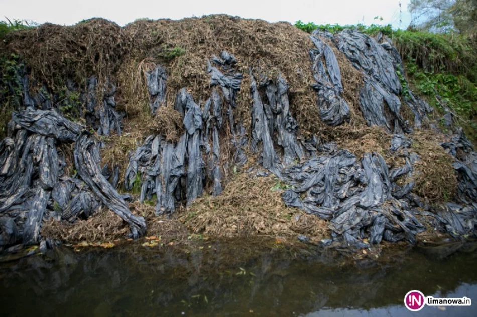 Rolnik pozbywa się pozostałości po uprawach... w rzece - zdjęcie 2