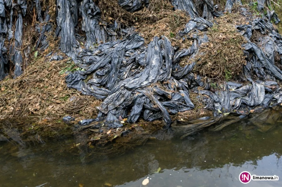 Rolnik pozbywa się pozostałości po uprawach... w rzece - zdjęcie 3