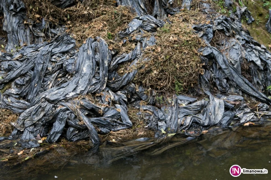 Rolnik pozbywa się pozostałości po uprawach... w rzece - zdjęcie 4