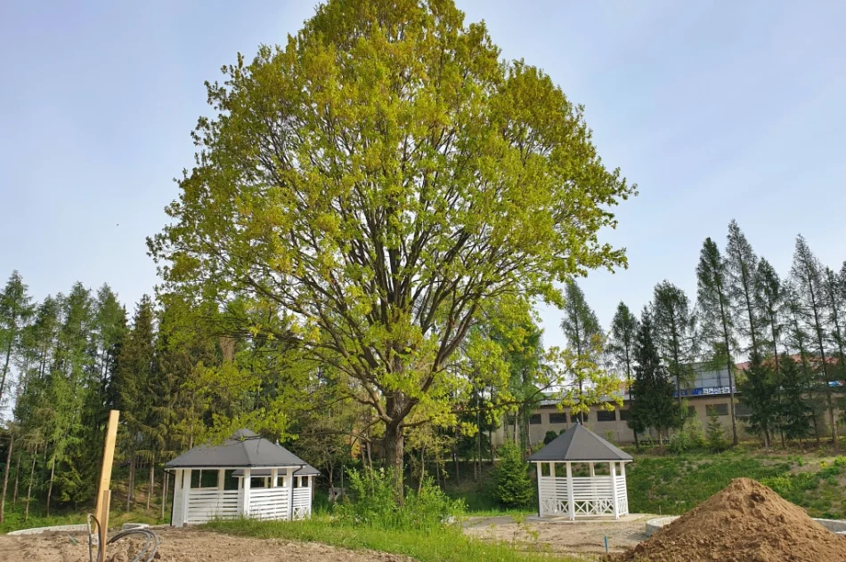 Rekreacyjny kompleks nabiera kształtów - zdjęcie 17