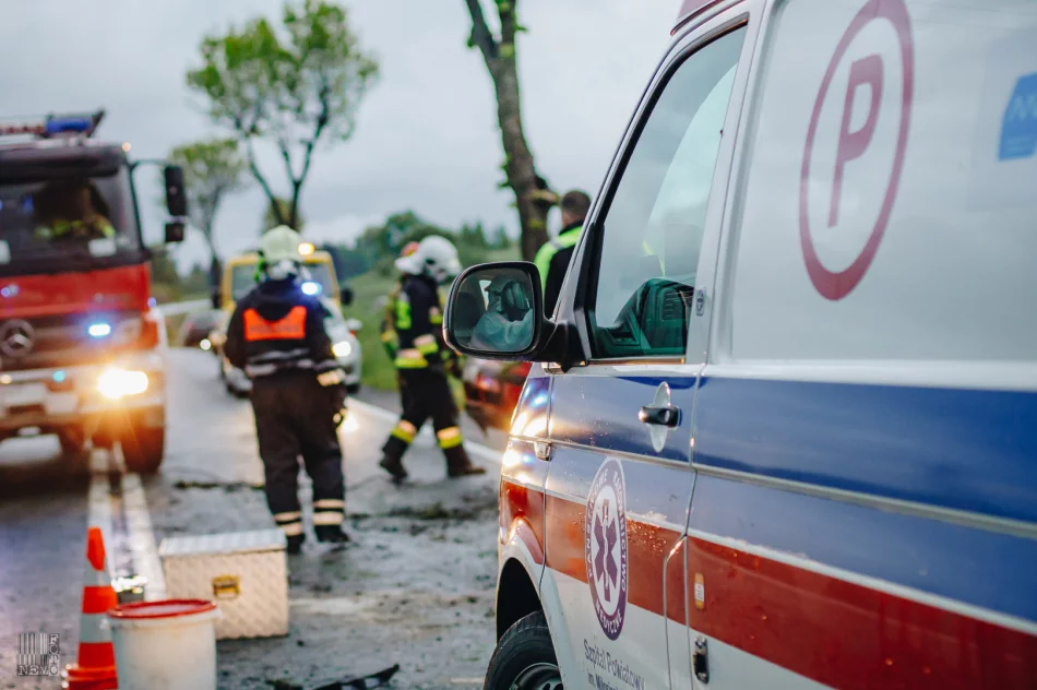 Dachowanie na drodze krajowej - zdjęcie 10