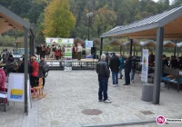 'Jesienny Jarmark' z LGD i wywiady grupowe dla przedstawicieli różnych branż - zdjęcie główne