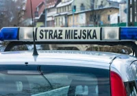 Nowe uprawnienia mandatowe strażników - zdjęcie główne
