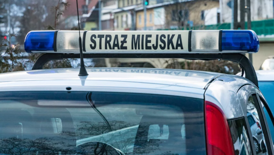 Problemy z przetargiem m.in. z powodu koloru. Nie będzie SUV-a?  - zdjęcie 1