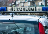 Problemy z przetargiem m.in. z powodu koloru. Nie będzie SUV-a?  - zdjęcie główne